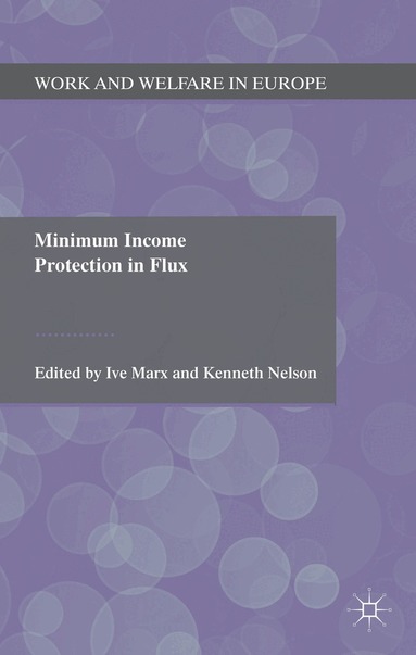 I. Marx, K. Nelson - Minimum Income Protection in Flux, Inbunden