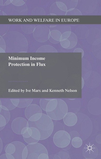 bokomslag Minimum Income Protection in Flux