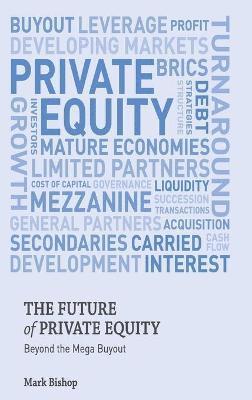 bokomslag The Future of Private Equity