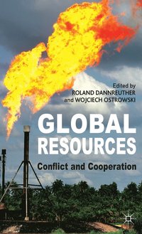 bokomslag Global Resources