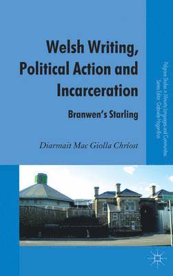 Diarmait Mac Giolla Chriost, Kenneth A. Loparo, Kenneth A Loparo - Welsh Writing, Political Action and Incarceration, Inbunden