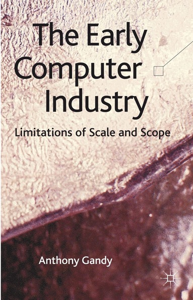 bokomslag Early Computer Industry