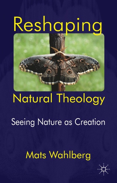bokomslag Reshaping Natural Theology