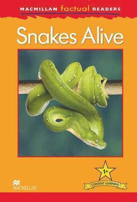 Louise P Carroll - Macmillan Factual Readers: Snakes Alive, Häftad