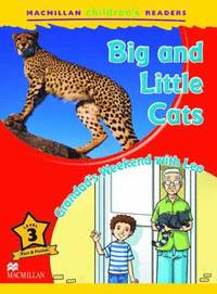 bokomslag Macmillan Children's Readers Big and Little Cats Level 3