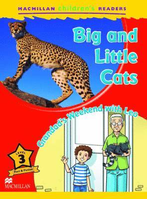 bokomslag Macmillan Children's Readers Big and Little Cats Level 3