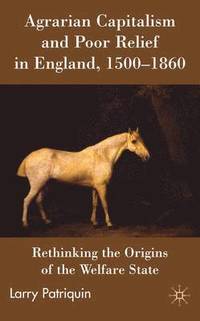 bokomslag Agrarian Capitalism and Poor Relief in England, 1500-1860