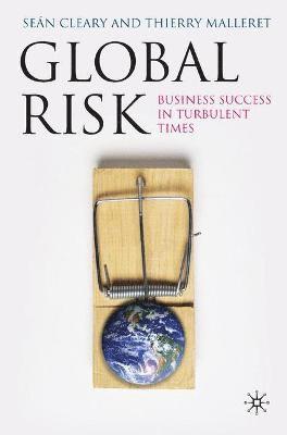 bokomslag Global Risk