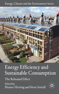 bokomslag Energy Efficiency and Sustainable Consumption