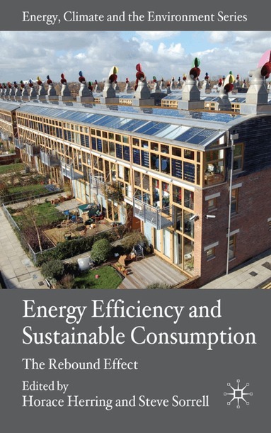 H. Herring, S. Sorrell - Energy Efficiency and Sustainable Consumption, Inbunden