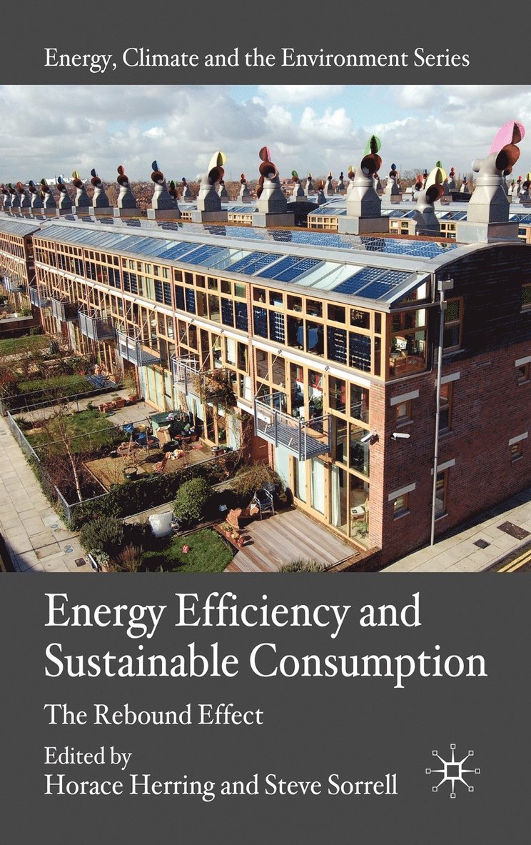 Energy Efficiency and Sustainable Consumption 1