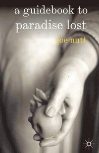 bokomslag Guidebook to Paradise Lost