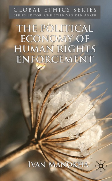 bokomslag Political Economy of Human Rights Enforcement