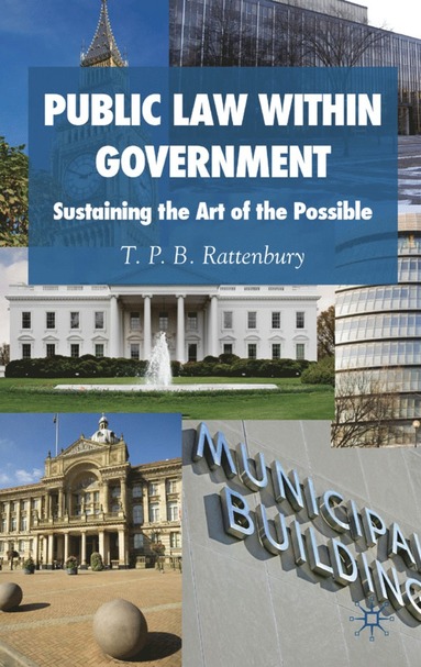 bokomslag Public Law within Government