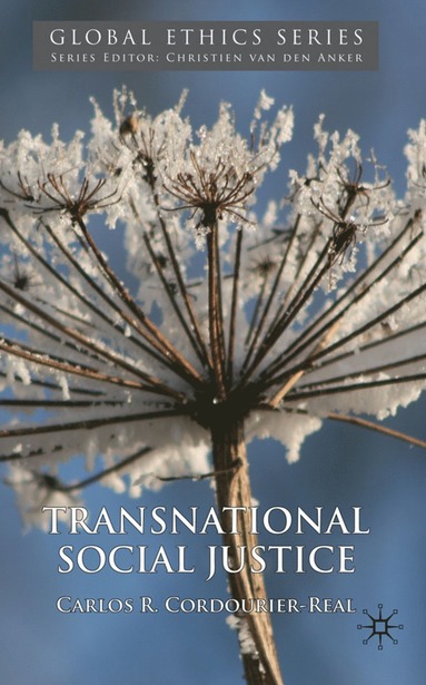 bokomslag Transnational Social Justice
