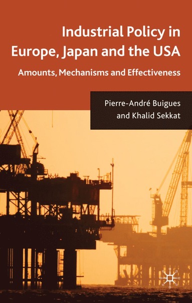 bokomslag Industrial Policy in Europe, Japan and the USA