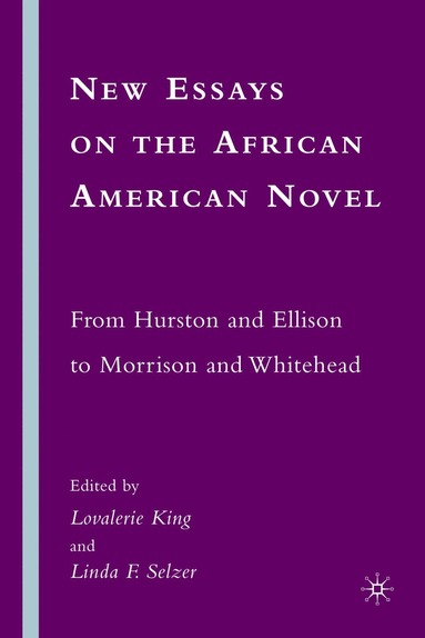 bokomslag New Essays on the African American Novel