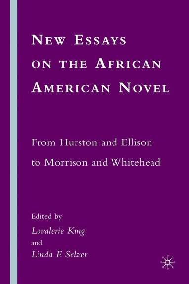 bokomslag New Essays on the African American Novel