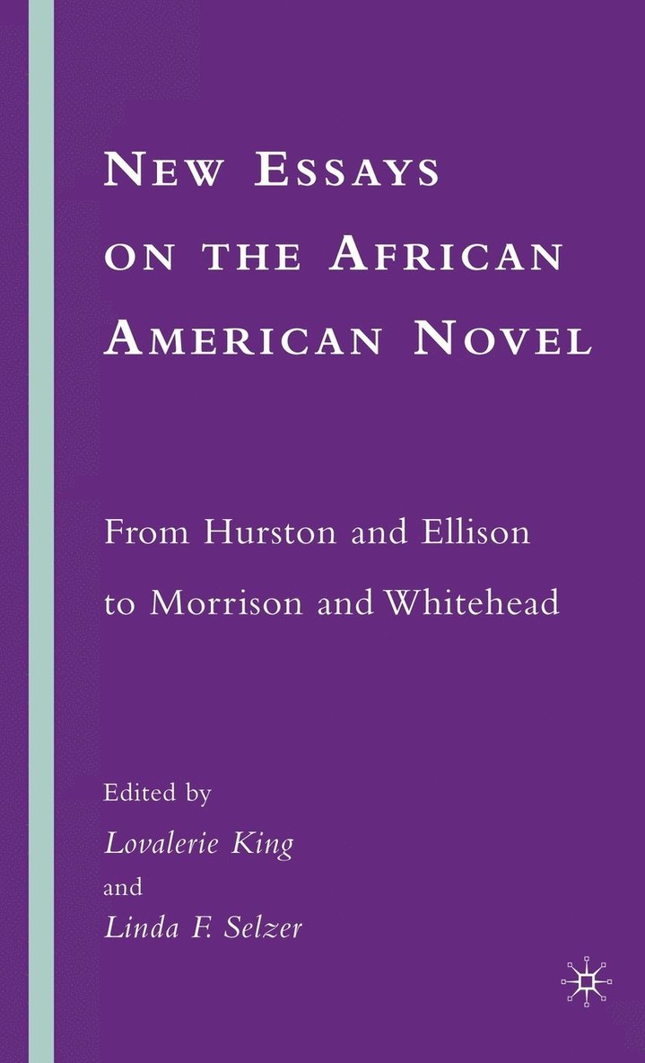 New Essays on the African American Novel 1