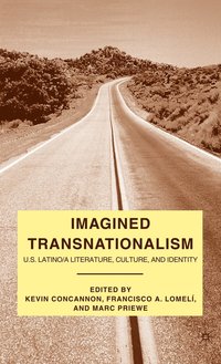 bokomslag Imagined Transnationalism