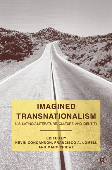 bokomslag Imagined Transnationalism