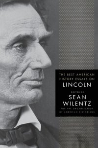 bokomslag The Best American History Essays on Lincoln