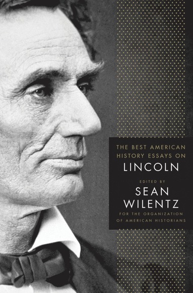 bokomslag Best American History Essays on Lincoln