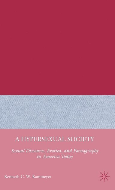 bokomslag A Hypersexual Society