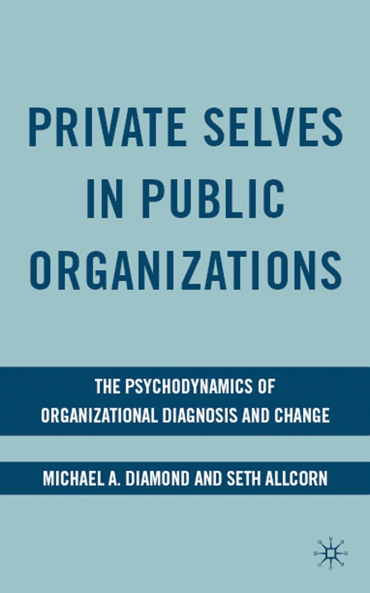 M. Diamond, S. Allcorn, Michael A. Diamond, Seth Allcorn - Private Selves in Public Organizations, Inbunden