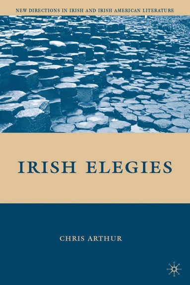 bokomslag Irish Elegies