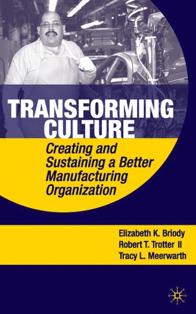 bokomslag Transforming Culture