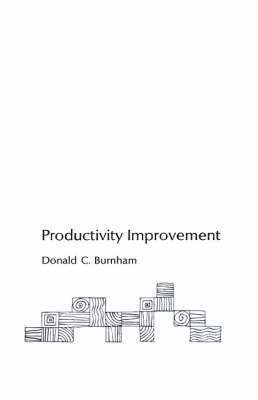 bokomslag Productivity Improvement