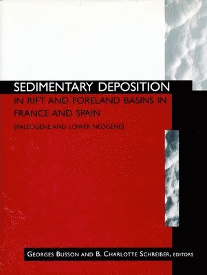 bokomslag Sedimentary Deposition in Rift and Foreland Basins in France and Spain