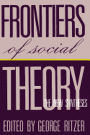 bokomslag Frontiers of Social Theory