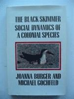 bokomslag The Black Skimmer
