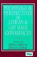 bokomslag Psychological Perspectives on Lesbian and Gay Male Experiences
