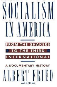 bokomslag Socialism in America from the Shakers to the Third International