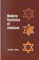 bokomslag Modern Varieties of Judaism