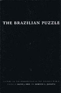 bokomslag The Brazilian Puzzle
