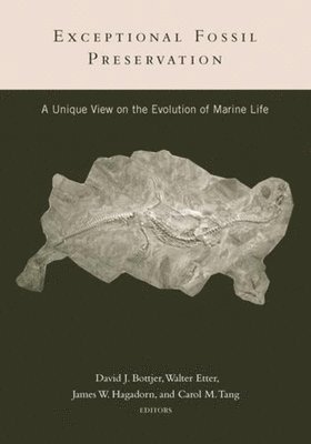 David Bottjer, Walter Etter, James Hagadorn, Carol Tang - Exceptional Fossil Preservation, Inbunden