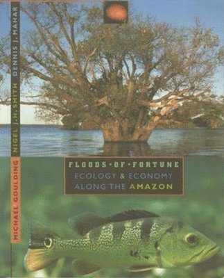 bokomslag Floods of Fortune