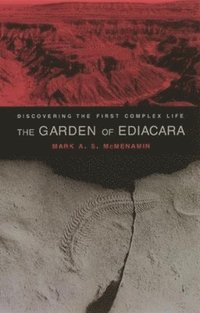 bokomslag The Garden of Ediacara