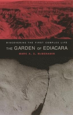 Mark A. S. Mcmenamin - Garden of Ediacara, Häftad