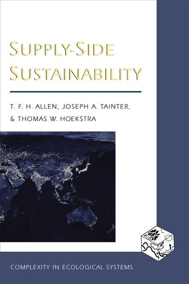 Timothy F. H. Allen, Joseph A. Tainter, Thomas W. Hoekstra - Supply-Side Sustainability, Häftad