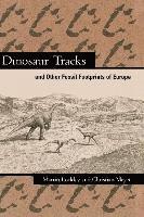 bokomslag Dinosaur Tracks and Other Fossil Footprints of Europe