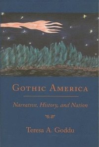 bokomslag Gothic America