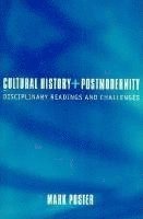Mark Poster - Cultural History and Postmodernity, Häftad