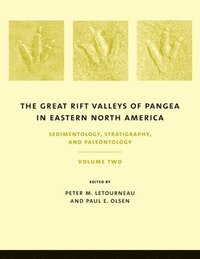 bokomslag The Great Rift Valleys of Pangea in Eastern North America