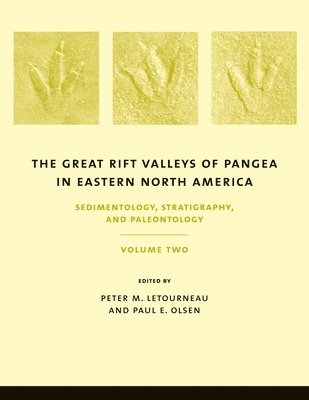 bokomslag The Great Rift Valleys of Pangea in Eastern North America