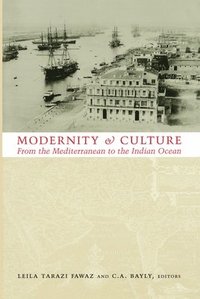 bokomslag Modernity and Culture